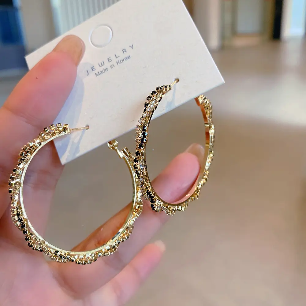 S925 Silver Needle Earrings for Women Big Face