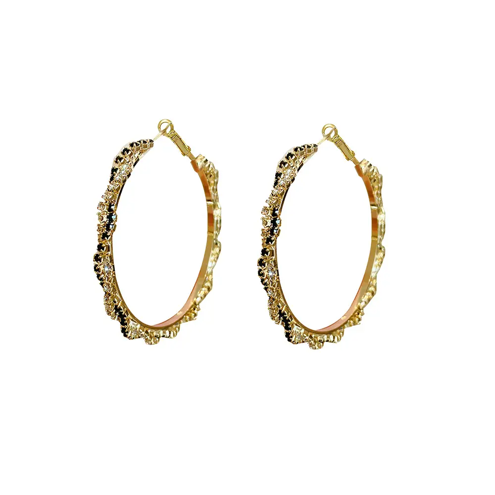 S925 Silver Needle Earrings for Women Big Face