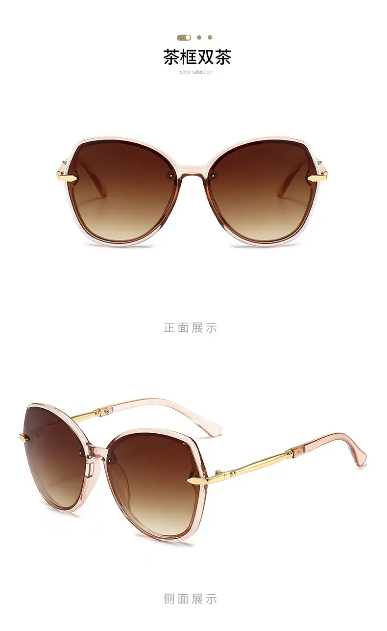 High-End Metal Sunglasses for Women European American Cross Border — feature 14
