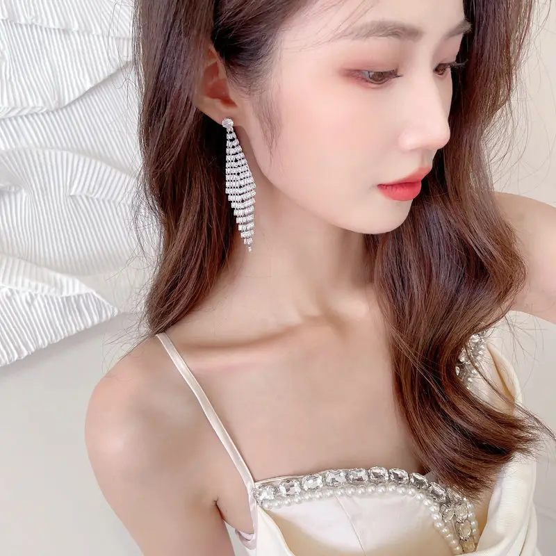 S925 Silver Needle Zircon Long Tassel Earrings - Image 4
