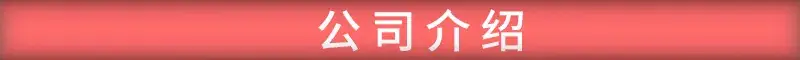 公司介绍