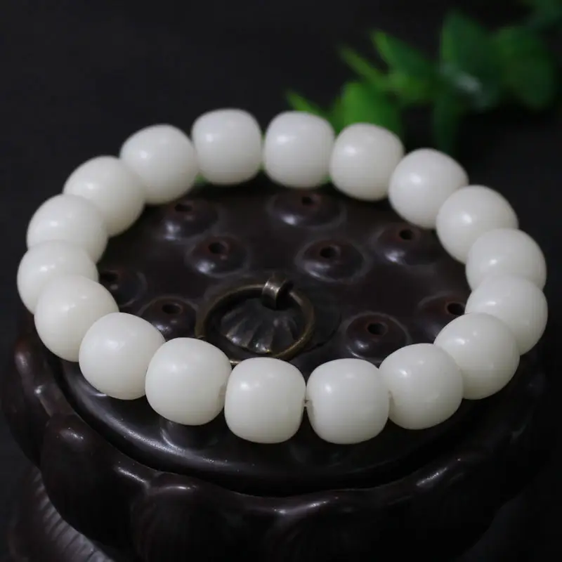 菩提根03.jpg