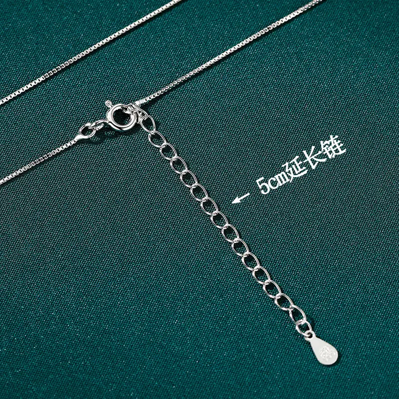 S999 Sterling Silver Pendant-Free Necklace for Women