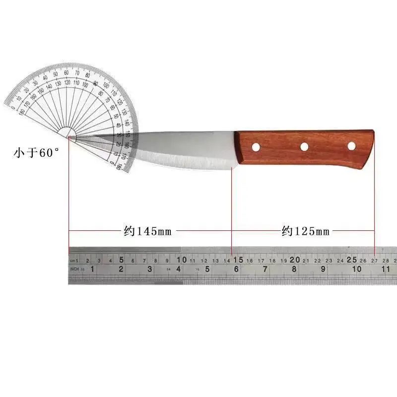 Stainless Steel Bloodletting Knife with Leather Handle