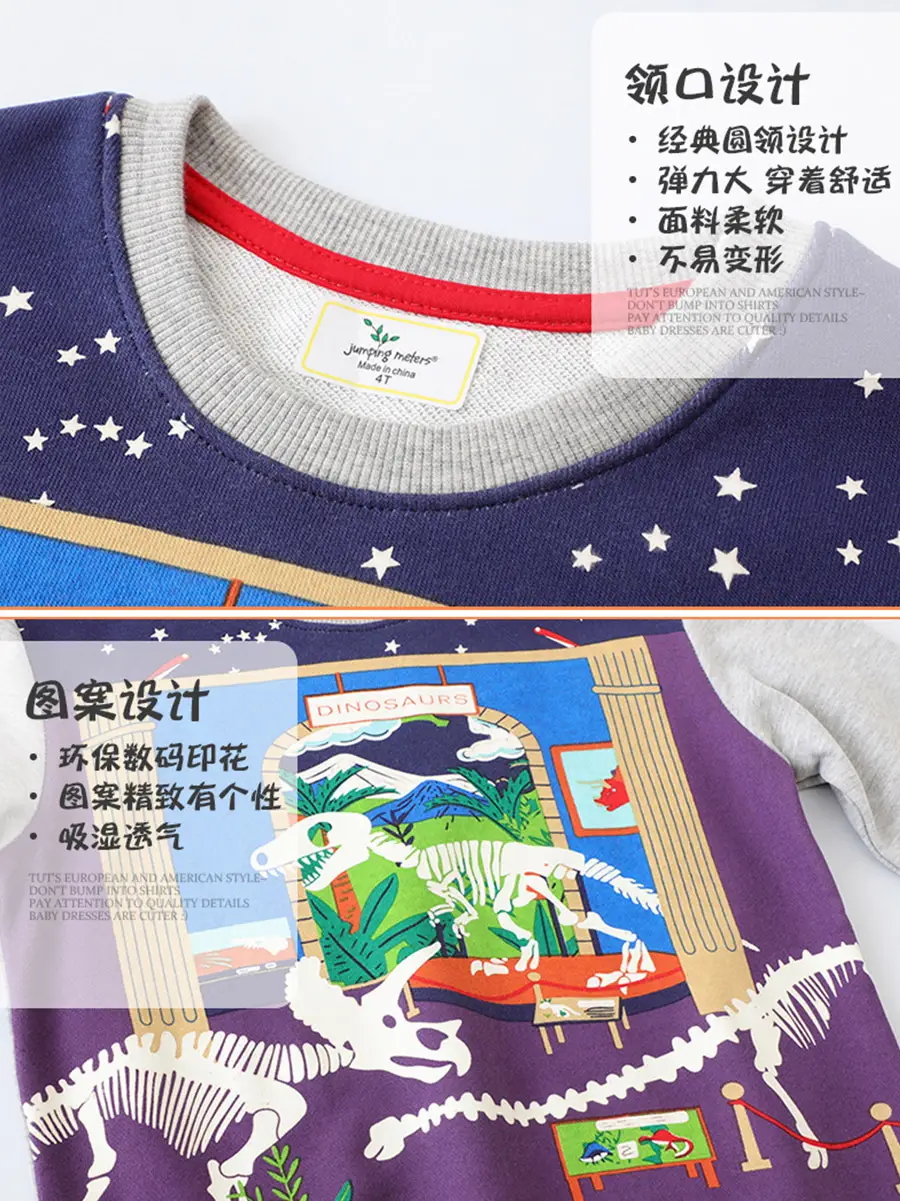Spring Boys Sweatshirt Grey Long Sleeve Factory Distribution - Image 5