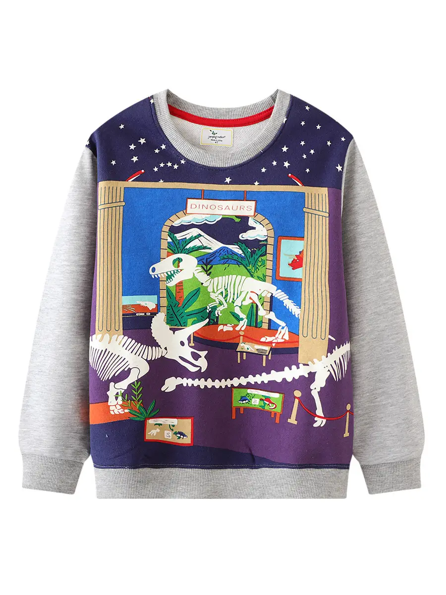 Spring Boys Sweatshirt Grey Long Sleeve Factory Distribution - Image 6