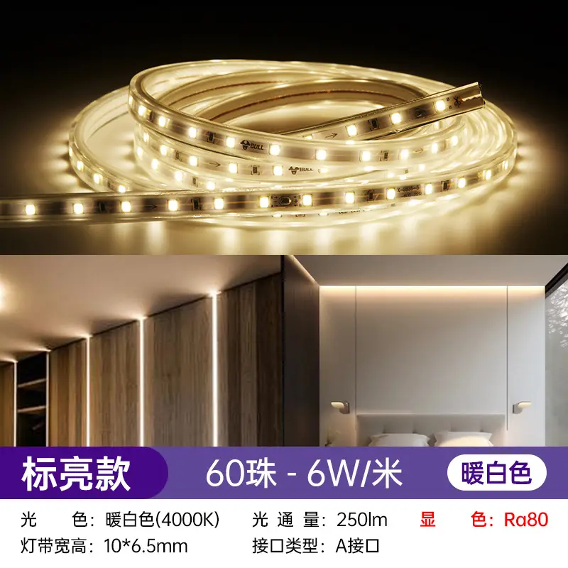 LED Ceiling Light Strip 220V High Voltage Living Room