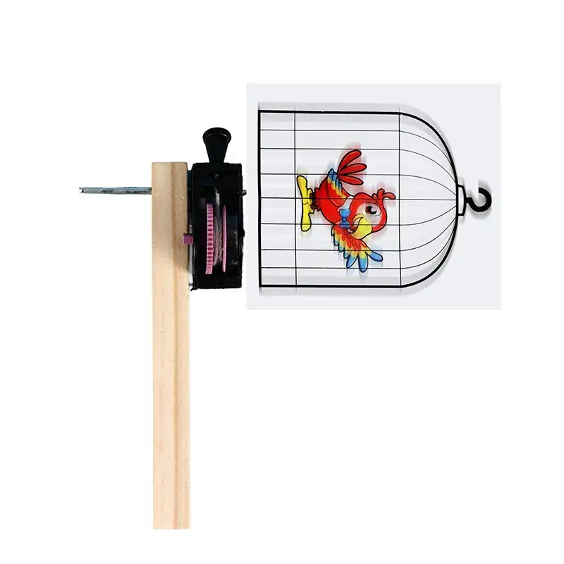 Wooden Science Experiment Stand for Elementary Students - Image 11