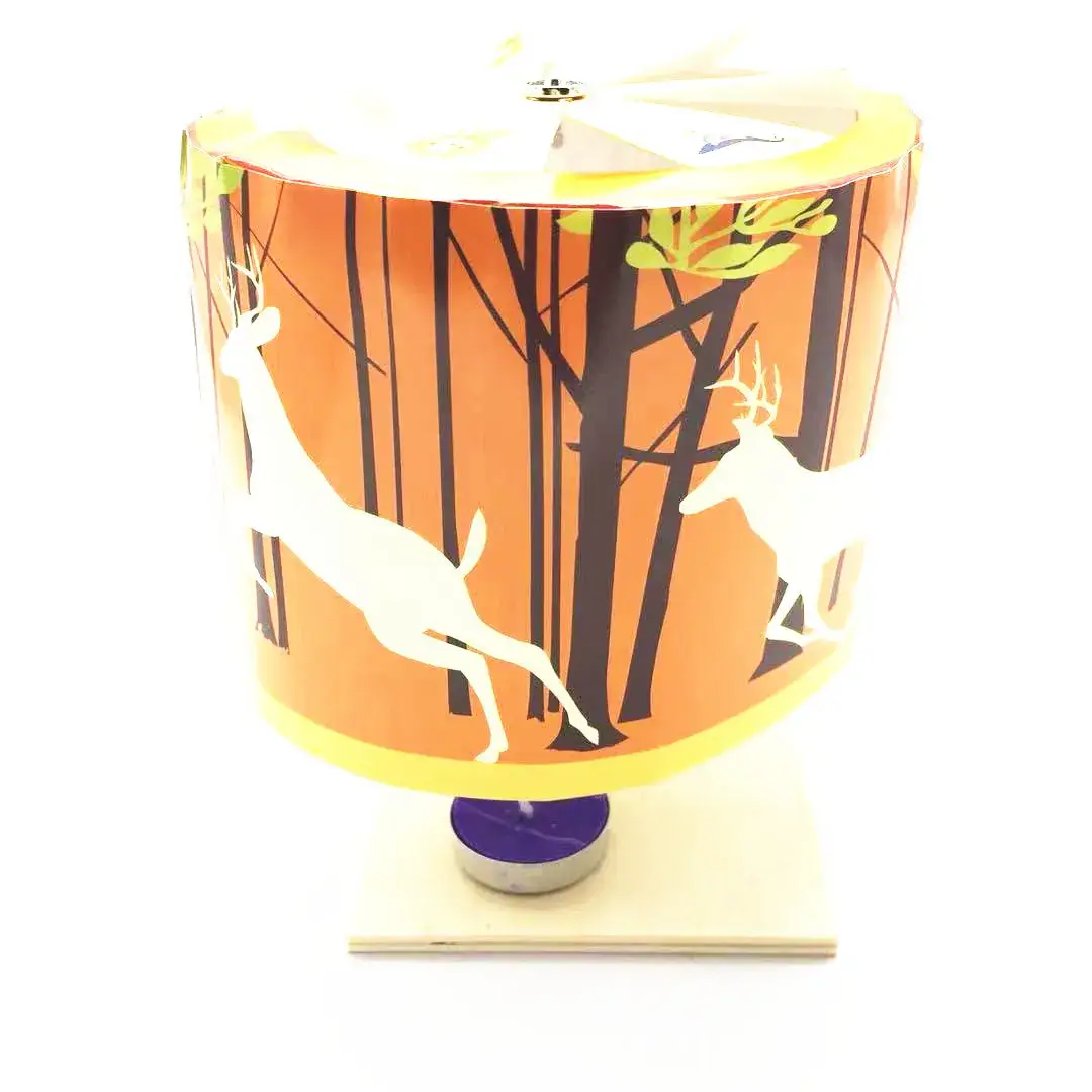 Wooden Science Experiment Stand for Elementary Students - Image 28