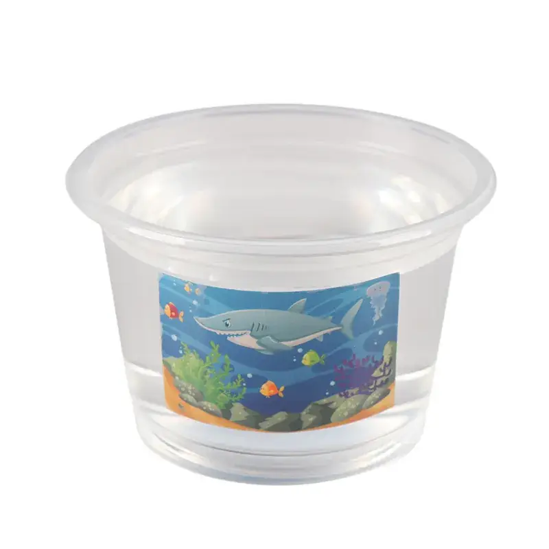 Wooden Science Experiment Stand for Elementary Students - Image 45