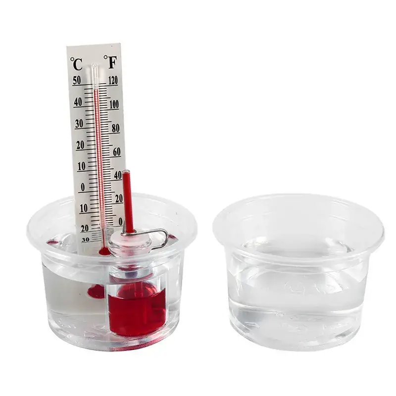 Wooden Science Experiment Stand for Elementary Students - Image 50