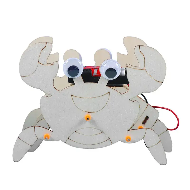 Wooden Science Experiment Stand for Elementary Students - Image 53