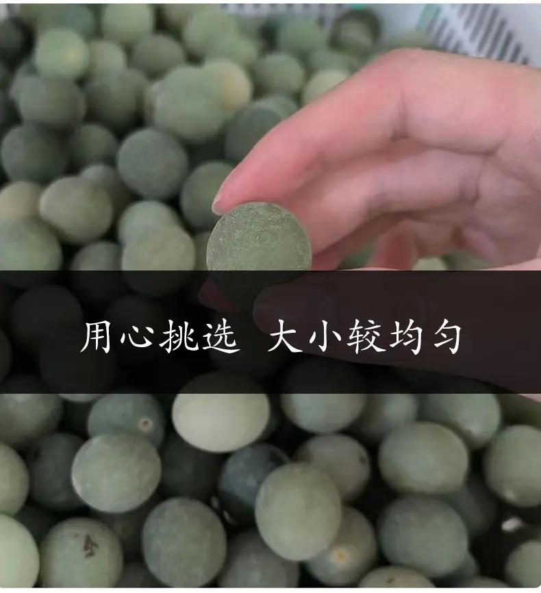 Gradient Green White Jade Bodhi Root Bracelet for Men Women — feature 4