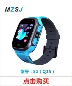 S1