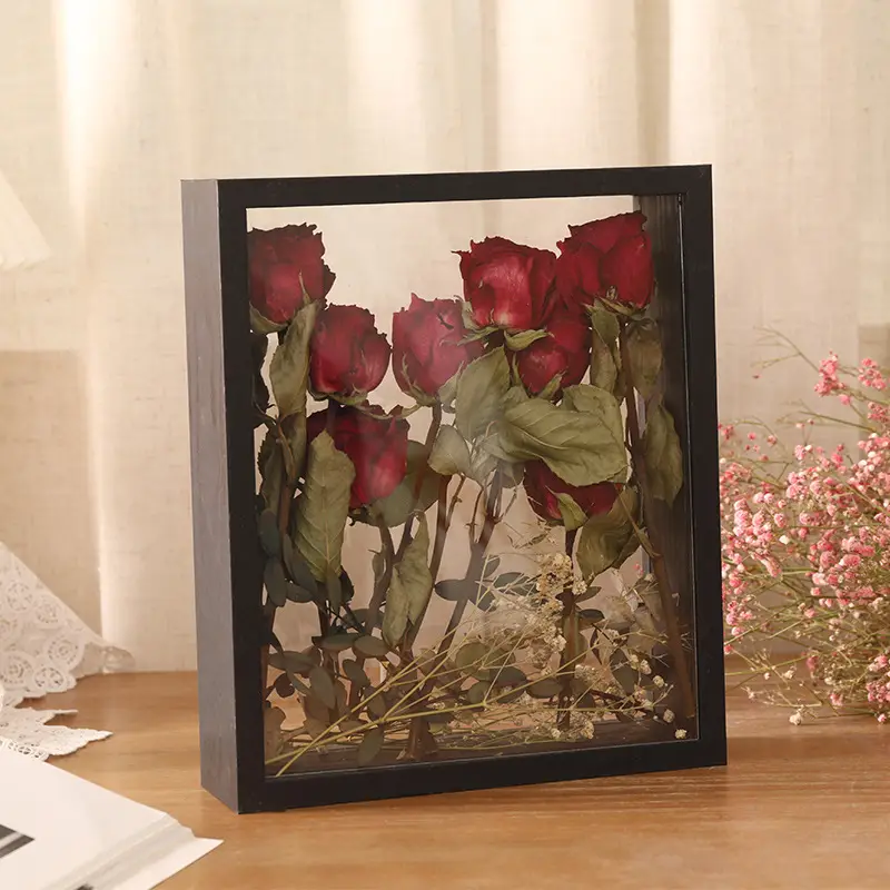 Double-Sided Transparent Dried Flower Frame