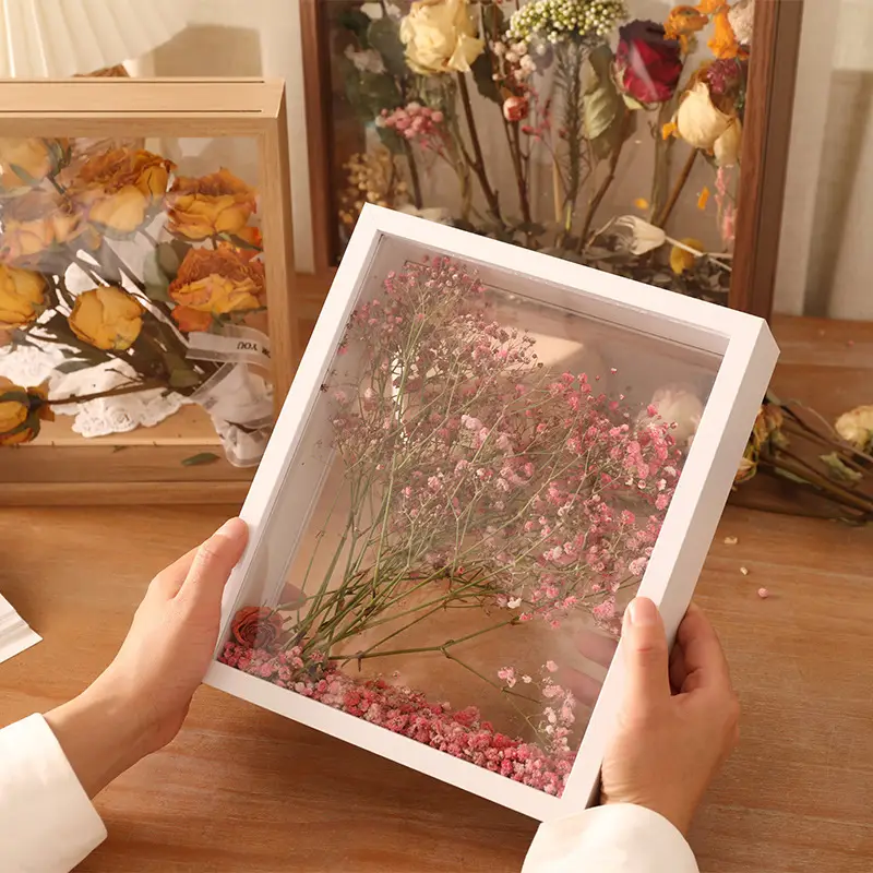 Double-Sided Transparent Dried Flower Frame