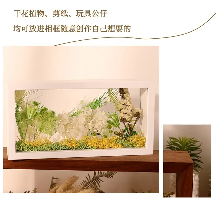 Double-Sided Transparent Dried Flower Frame — feature 10