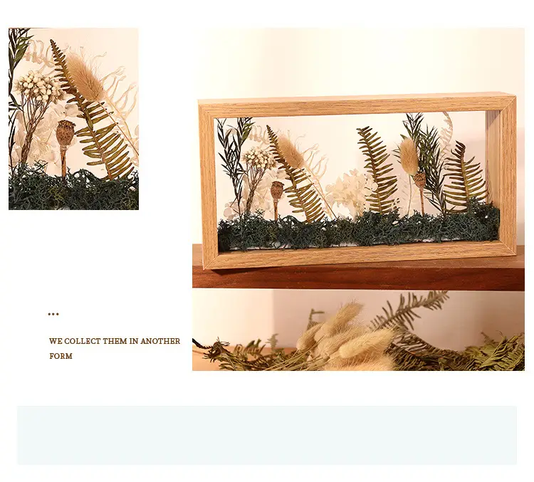 Double-Sided Transparent Dried Flower Frame — feature 12