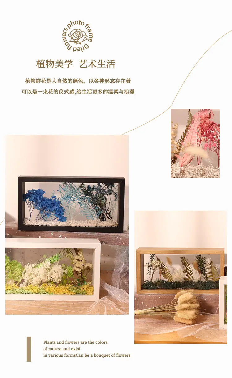 Double-Sided Transparent Dried Flower Frame — feature 4