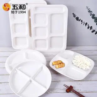 A5 Melamine 4-Compartment Plate White — feature 4