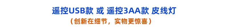 遥控皮线灯详情图_01