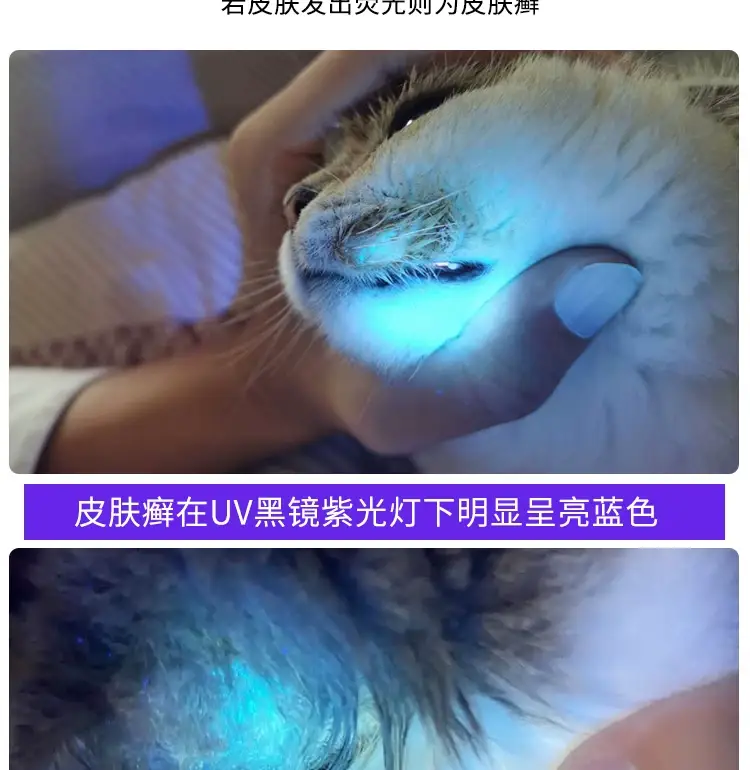 UV365 Ultraviolet Black Mirror Lamp Charging — feature 4