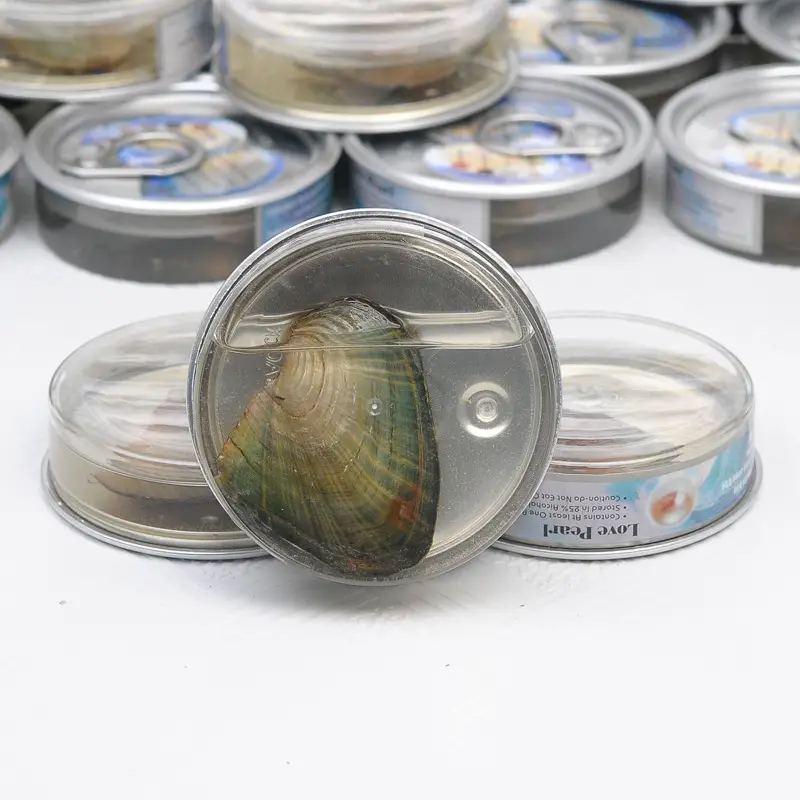 Freshwater Pearl Mussel Blind Box Wholesale - Image 5