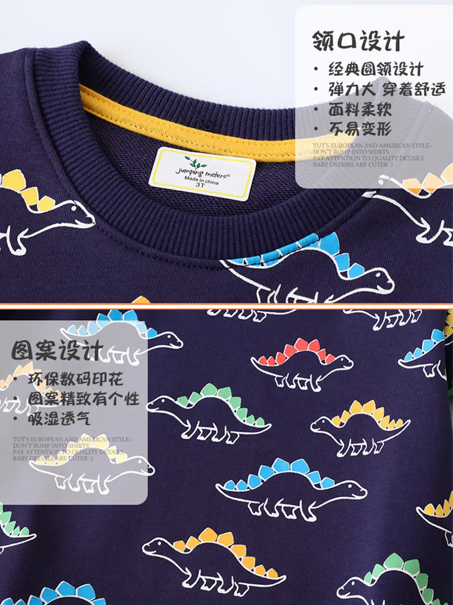 Dinosaur Printed Crew Neck Sweatshirt for Boys - Image 5