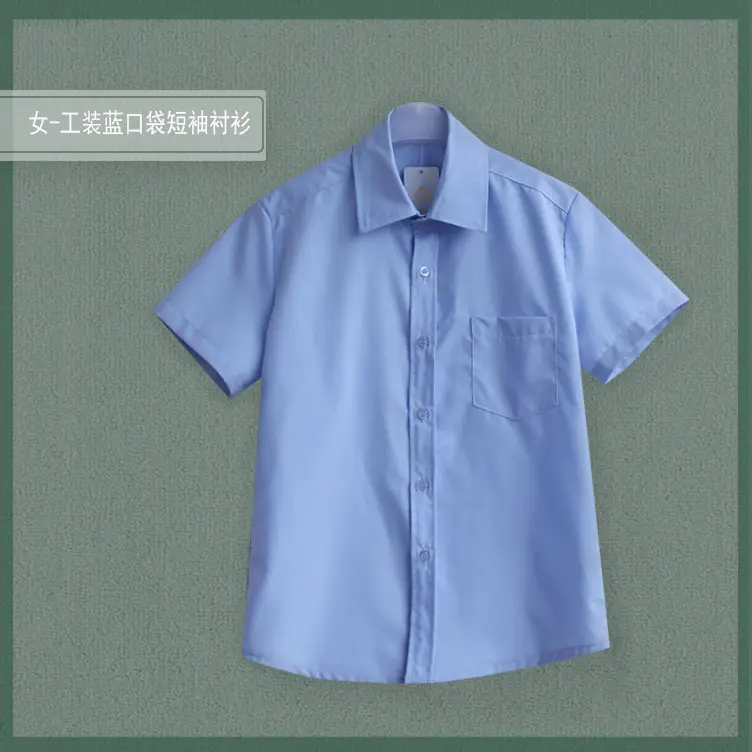 Women Blue Embroidered Short Sleeve Shirt - Image 10