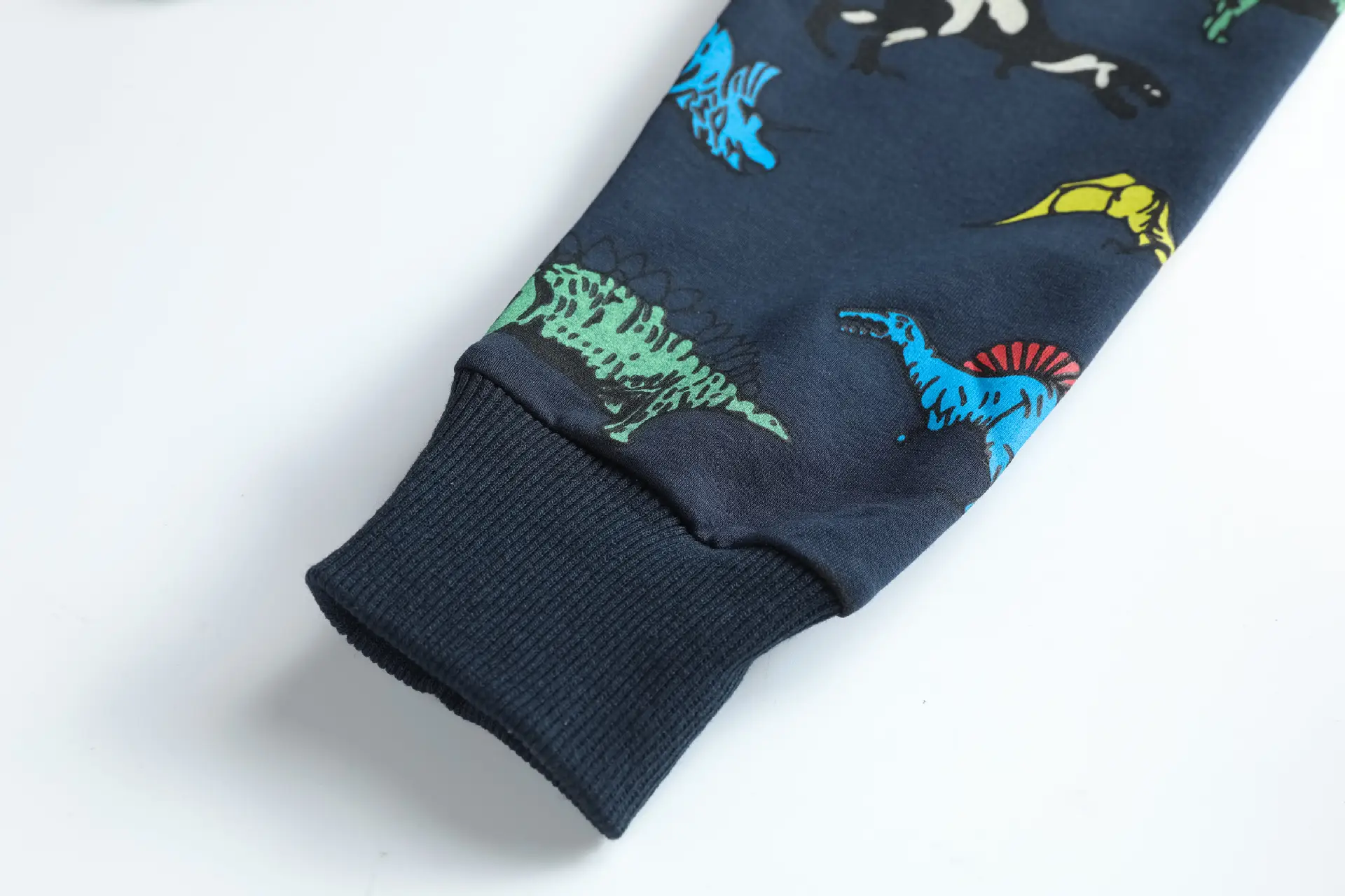 Dinosaur Printed Kids Hooded Sweater Grey — feature 18