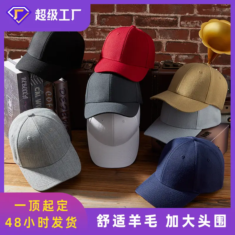 2025 Wool Baseball Cap Men Women Grey Duck Tissue - Image 8