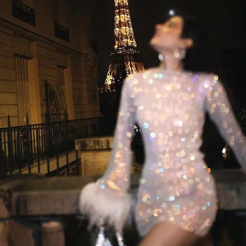Sexy Women's Dress with Glitter Mesh Fur Embroidery — feature 9