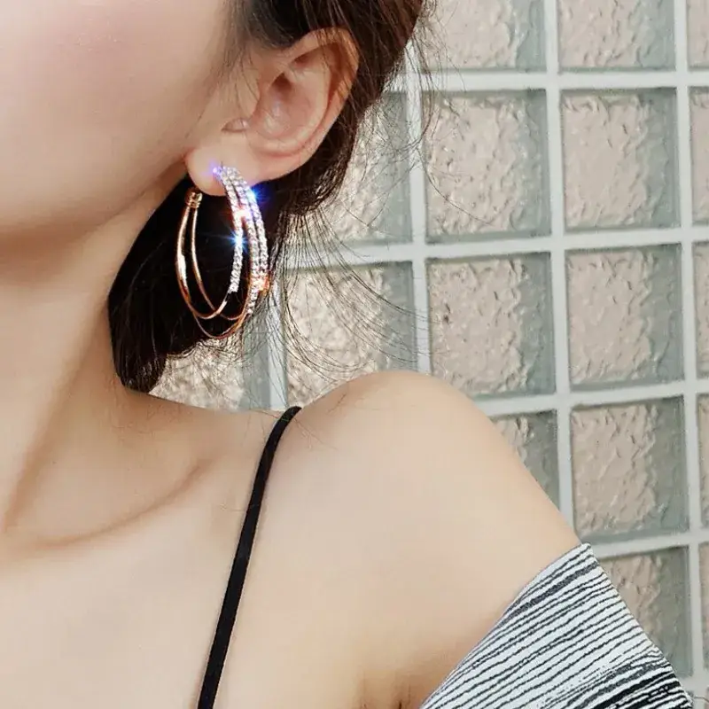 S925 Silver Full Diamond Earrings for Women - Image 10