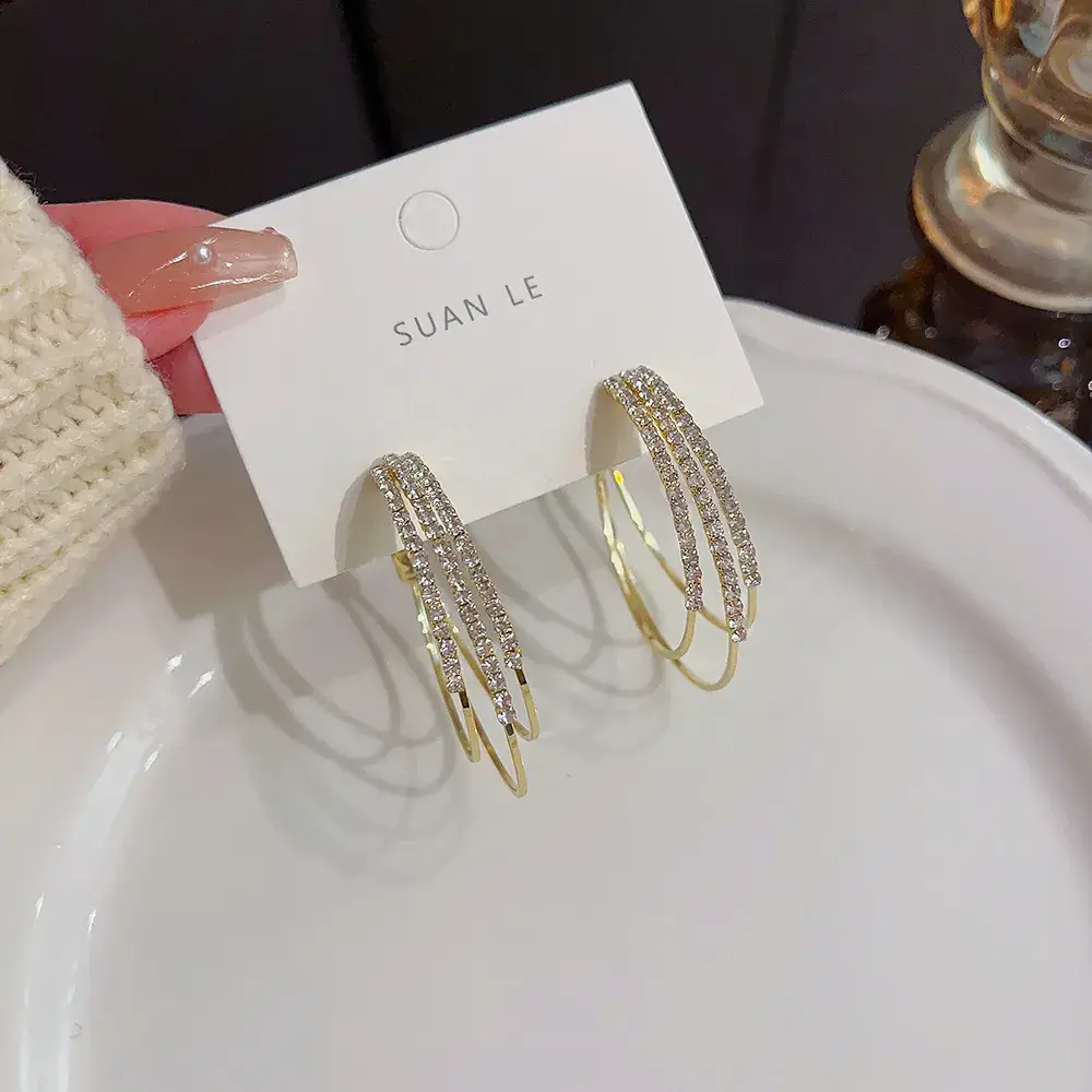 S925 Silver Full Diamond Earrings for Women - Image 2