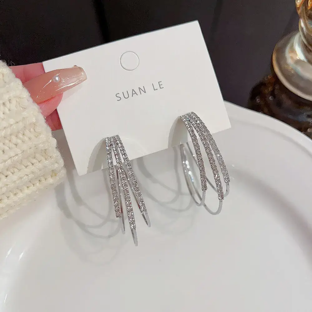 S925 Silver Full Diamond Earrings for Women - Image 3