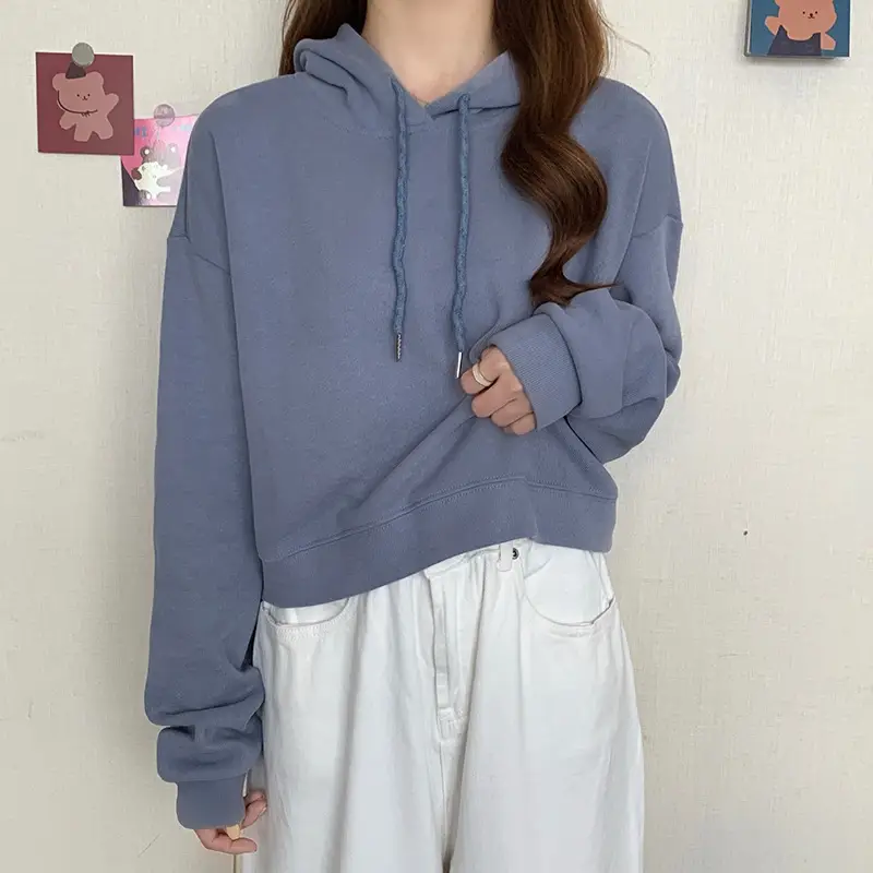 Women Blue Hooded Pullover Sweater Spring Autumn Wear