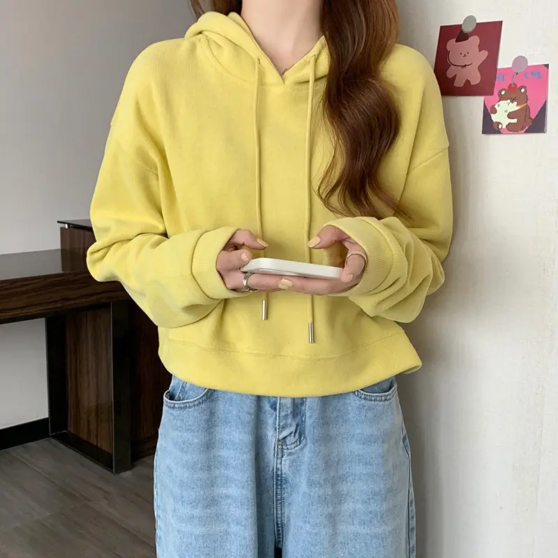 Women Blue Hooded Pullover Sweater Spring Autumn Wear