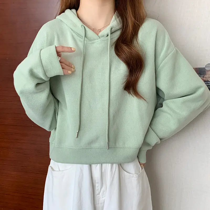 Women Blue Hooded Pullover Sweater Spring Autumn Wear