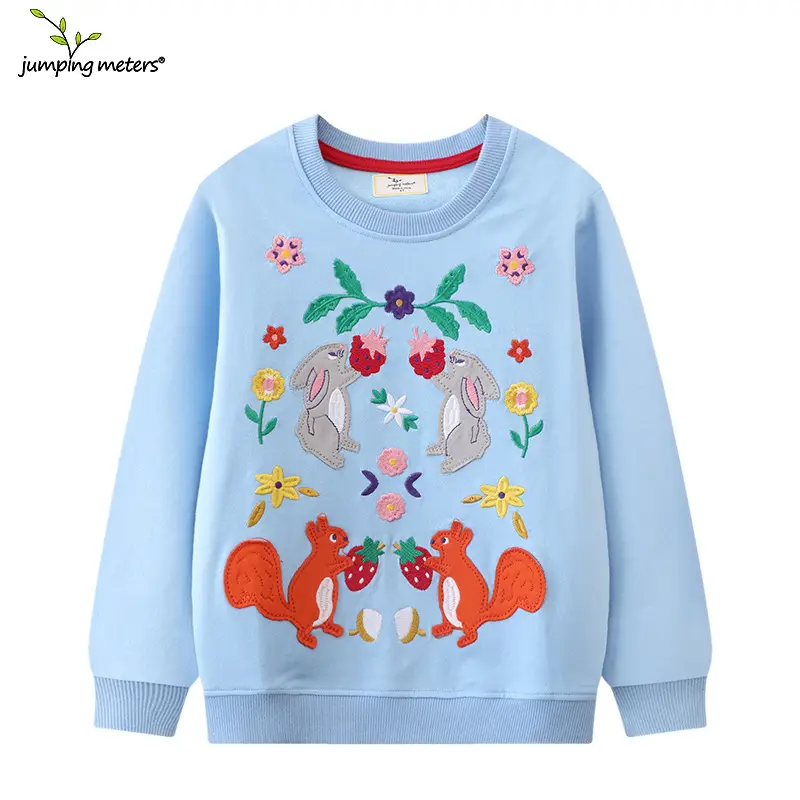 Girls Light Blue Embroidered Sweatshirt Set for Girls