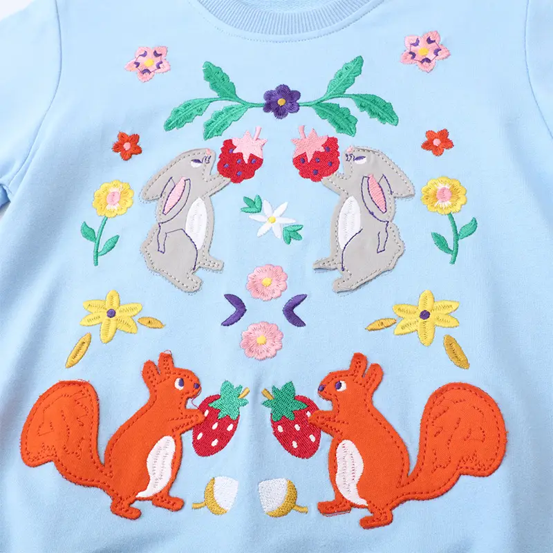 Girls Light Blue Embroidered Sweatshirt Set for Girls