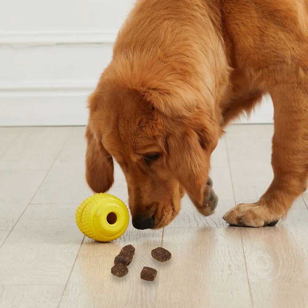 bump grenade rubber leaking food toy pet dog leaking food educational toy grenade bite resistant