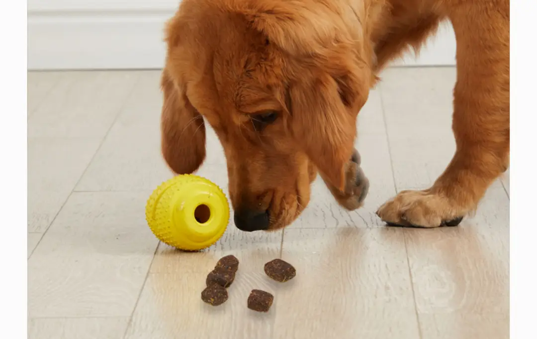 bump grenade rubber leaking food toy pet dog leaking food educational toy grenade bite resistant — feature 6