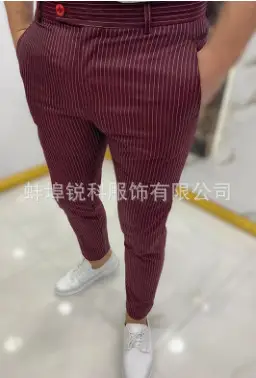Men's Grey Striped Slim Fit Pencil Pants Mid Waist Casual Wear — feature 38