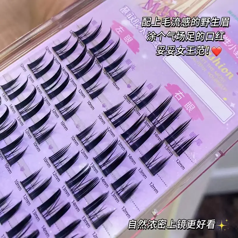 Wild Cat False Eyelashes for Natural Look - Image 15