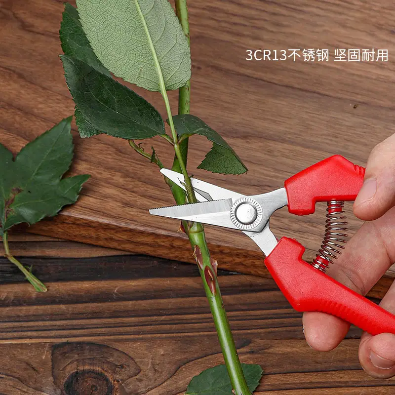Gardening Shears, Pruning Shears, Flower Branches, Gardening Household Multi-Functional Stainless Steel Powerful Shears, Fruit Trees, Grape Water