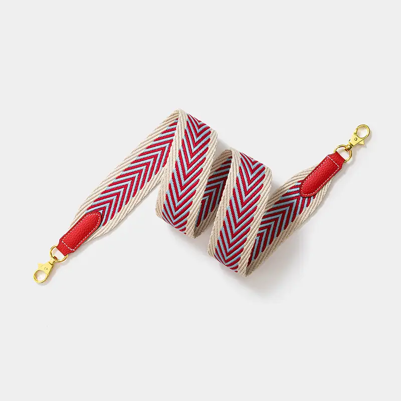Cross-Body Webbing Bag with Gold Clasp for Women