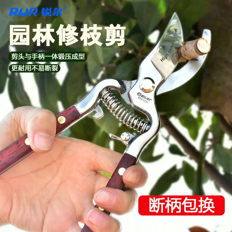 10 (9)花枝剪.jpg