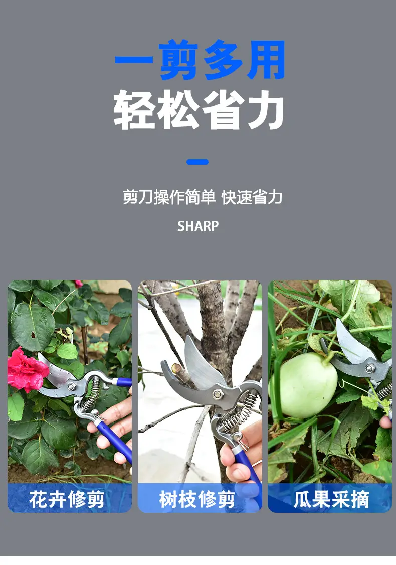 详情_03