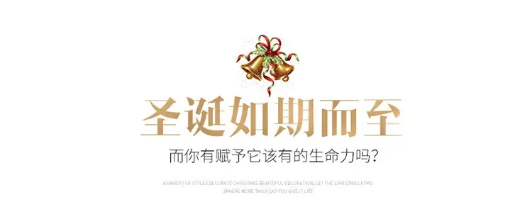 圣诞如期而到.jpg