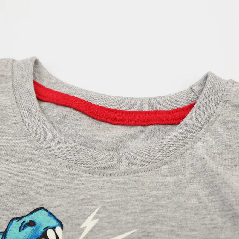 Blue Dinosaur Print Boys T-Shirt 2026 - Image 4